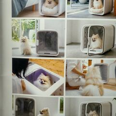 美品　ドライハウス　犬・猫　nello ドライヤー、エアシャワー、エアケア機能付きの画像