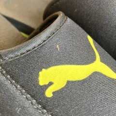 K2509-396　PUMA ベーシック II ベルクロ シャワー サンダル 26cm ブラック×イエロー マジックテープ 中古美品 キズ汚れ有りの画像
