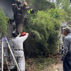 植木のメンテナンス作業【急募】未経験者歓迎/経験者即戦力として働けます。縛られて働くのが嫌な方にぴったりです。月収38万円実績ありの画像