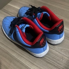 NIKE エアフォースワン 25cmの画像
