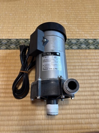 レイシー　RMD-551