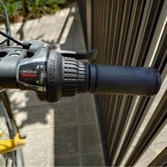 子供用自転車　20インチ コグホーンの画像