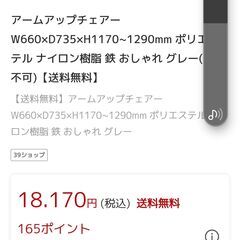不二貿易 アームアップチェアー マスター3の画像