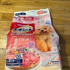 小型犬飼育用消耗品の画像