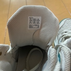 ASICS DANKSHOT MB10の画像