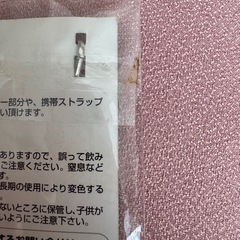 パラサイトイヴ2 メタルチャーム キーホルダーの画像