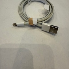 Apple純正Lightningケーブル USB-Aの画像