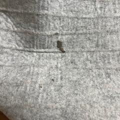 至急！ホットカーペット　1.5畳の画像