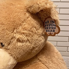 53インチ プラッシュテディベア ベージュの画像