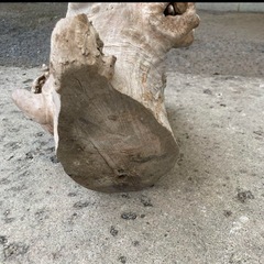 木製オブジェの画像