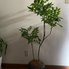 ✨花瓶＆鉢カバー✨の画像