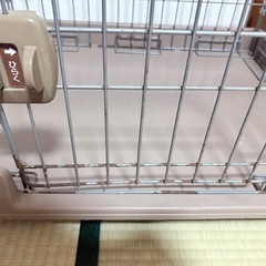 小型犬ゲージちゅうこ中古の画像