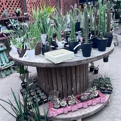 ケーブルドラム96センチ（木目）美品です
の画像