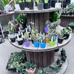 ケーブルドラム96センチ（両面グレー色）美品の画像