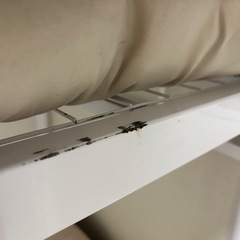 受け渡し決定しました!!の画像