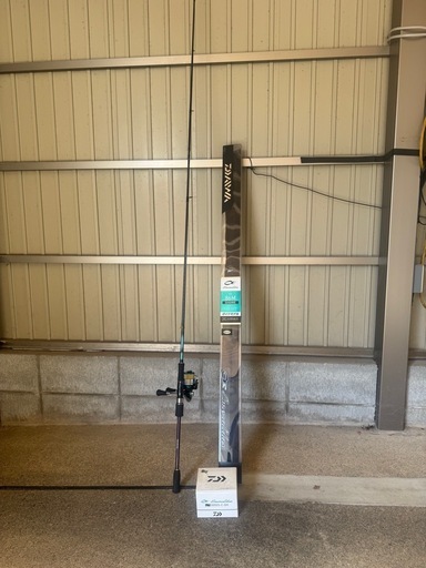 エギングセット　ダイワ　エメラルダス　pe0.6号付き