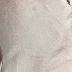 洋服の青山　薄いピンク リボン付き 半袖ブラウスの画像