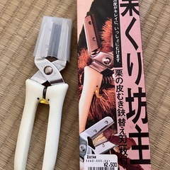 栗　皮剥き　栗くり坊主の画像