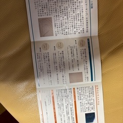 ソファ　皮革　革張り　レザー　本革　2人掛けの画像
