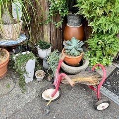 アイアン三輪車・DIY・店舗什器・アイアンオブジェの画像