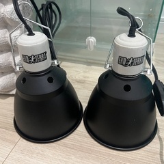 爬虫類飼育用品（お問い合わせ多数のため一時停止します）の画像