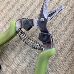園芸ハサミの画像