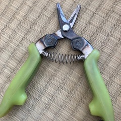 園芸ハサミの画像