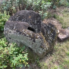 庭石　引き取りに来れる方お譲りしますの画像