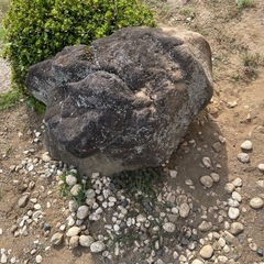 庭石　引き取りに来れる方お譲りしますの画像
