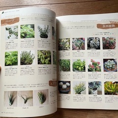 ✨オシャレ♡ガーデニング♡癒し✨の画像