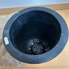 植木鉢、鉢カバーの画像