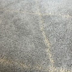 ニトリ　カーペットの画像