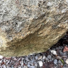 水だめ石NO1の画像