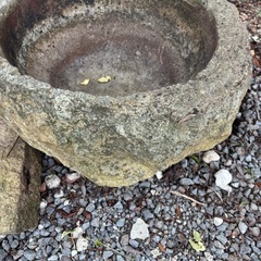 水だめ石NO1の画像