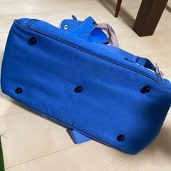 小型犬用キャリーバッグ リサ＆ガスパールの画像