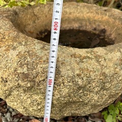 水だめ石 NO2の画像
