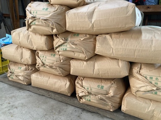 令和7年産　新米　玄米30キロ　無農薬　
無消毒米　キヌムスメ