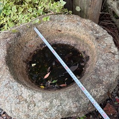 水だめ石 NO2の画像