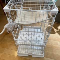 猫　ゲージの画像