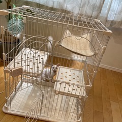 猫　ゲージの画像