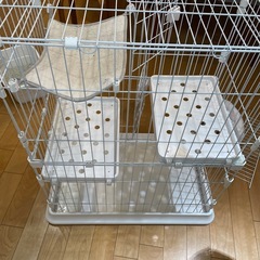 猫　ゲージの画像