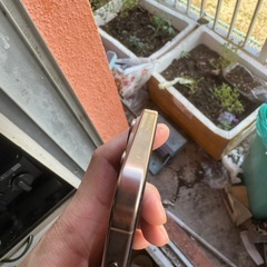 iPhone 16pro max 
の画像