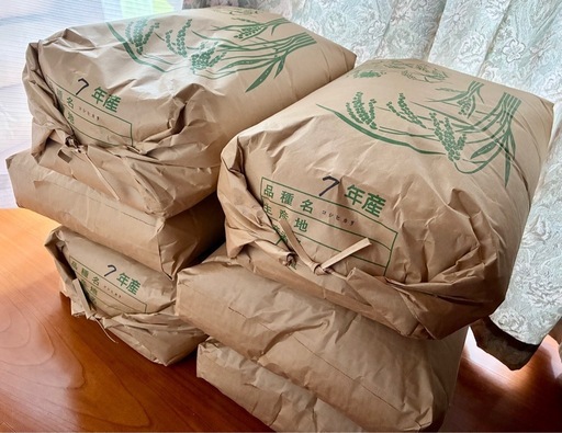 受付終了　令和7年産　コシヒカリ　 玄米