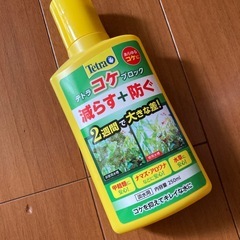 水槽　淡水魚　ペット　テトラ　苔ブロック　他の画像