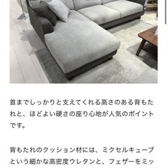 価格17万円程。ファニチャードーム　ソファの画像
