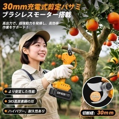 高枝切りチェーンソー 電動 充電式 8インチ 強力ブラシレスモーター搭載 伸縮ポール 125〜250cm 無段階調整 剪定ハサミの画像