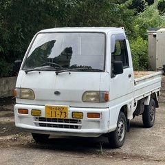 Subaru sambarの画像