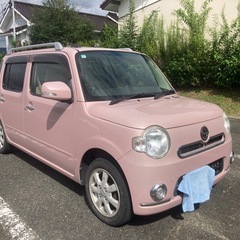 ミラ・ココア⭐️お話し中の画像