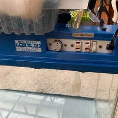 水槽　大きいの画像