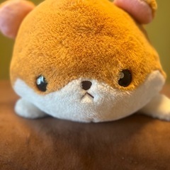 動物ぬいぐるみの画像